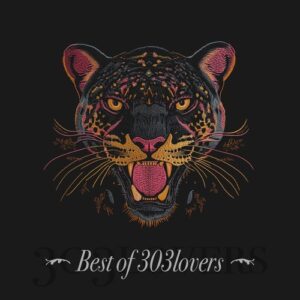VA - Best of 303Lovers [303L2024NY]