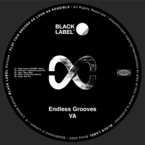 VA - Endless Grooves [BLR010]