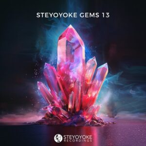 VA - Steyoyoke Gems 13 [SYYKCOMP023]