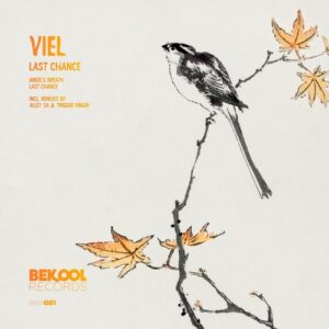 VieL - Last Chance [BKR081]