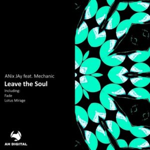 ANix JAy & Mechanic - Leave the Soul [AHD458]
