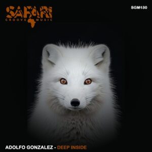 Adolfo Gonzalez - Deep Inside [SGM130]
