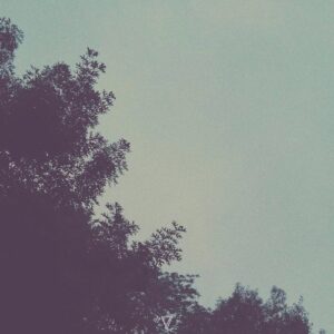 Antonyo010, TSOMAV - Connect Six [7V182]