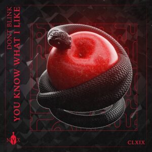 DONT BLINK - YOU KNOW WHAT I LIKE [NYX169D]