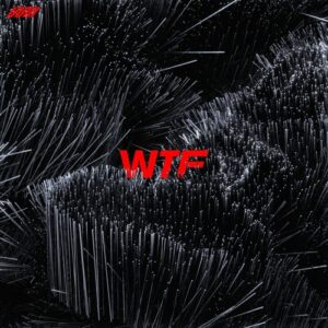 Julian Wassermann, Jamal Dilmen, Philipp Johann Thimm - WTF [FS076]