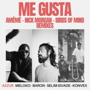 Meloko, Konvex (FR), Baron (FR), Selim Sivade - Me Gusta (AMÉMÉ, Nick Morgan, Birds of Mind Remixes) [AZZ83]