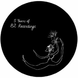 VA - 5 Years Of B2 Recordings [B2R015]