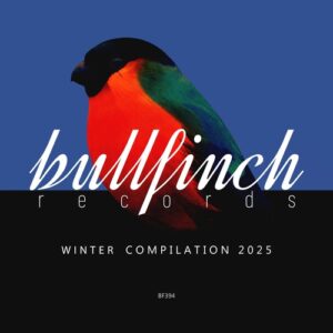 VA - Bullfinch Winter 2025 Compilation [BF394]