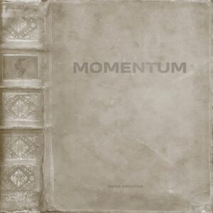 VA - Momentum [SNA210B]