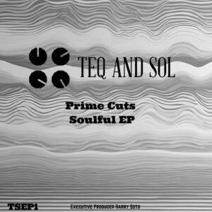VA - Prime Cuts Soulful EP [TSEP1]