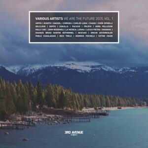 VA - We Are the Future 2025, Vol. 1 [3AVLP083]