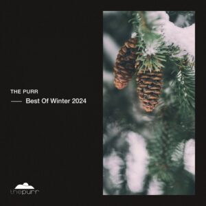VA - Winter Best Of 2024 [PURR463]
