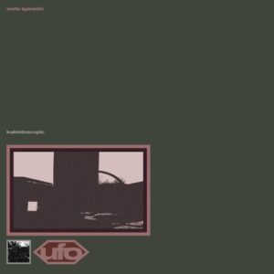Wata Igarashi - Kaleidoscopic EP [DKMNTLUFO14]
