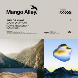 Analog Jungs - Solar Symphony [ALLEY297]