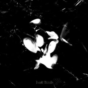 Dense & Pika, OskR - Navy / Get Hard [HF062BPT]