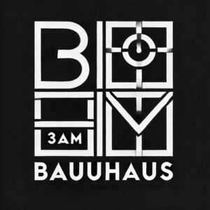Heerhorst, Fukkk Offf, Oliver Schories, Bauuhaus - 3AM [HB01]