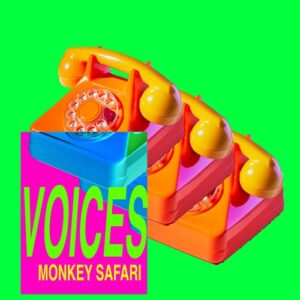 Monkey Safari - Voices [GVFP012]