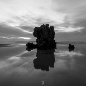 NODO - Strange Encouter [4069977005261]