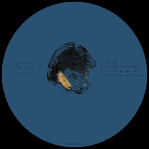 Papi Ruso, Alucinari - Papi Rush EP [PSL0537]
