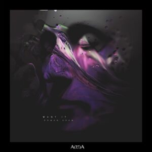 Roman Adam - Want It [ALULA277]