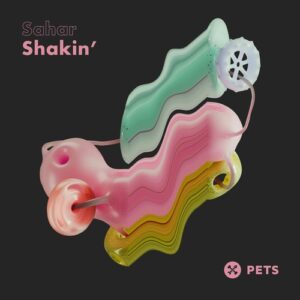 Sahar - Shakin' EP [PETS207]
