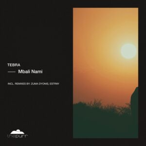 Tebra - Mbali Nami [PURR466]