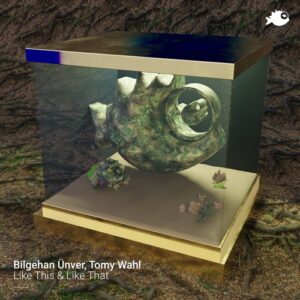 Tomy Wahl & Bilgehan Ünver - Like This & Like That [JEAHMON121]