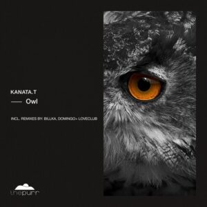 kanata.t - Owl [PURR467]