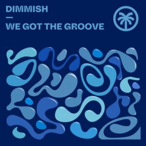 DIMMISH - We Got The Groove [HXT140]