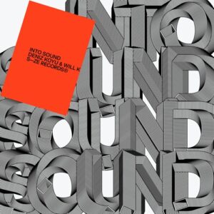 Deniz Koyu & WILL K - Into Sound (Extended Version) [DISTC040]