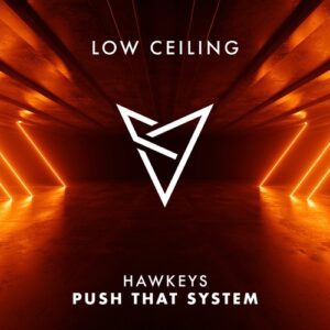 Hawkeys - PUSH THAT SYSTEM [LOWC264]