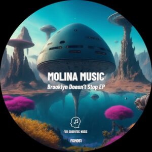 Molina Music - Brooklyn Doesn´´¨´¨´´´'t Stop [FGM051]