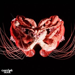 Olivier Giacomotto & Fur Coat - Show Me The Echo [CS005E]