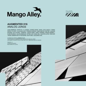 VA - Augmented 016 / Analog Jungs [ALLEYAUG016]