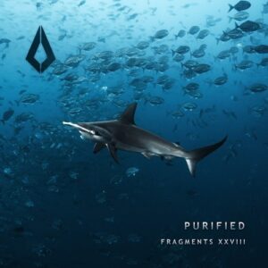 VA - Purified Fragments XXVIII [PF0190BP]