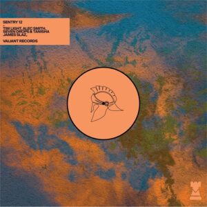VA - Sentry 12 [VALSEN12]