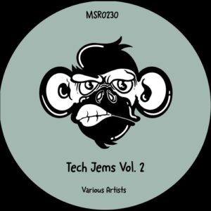 VA - Tech Jems Vol. 2 [MSR0230]