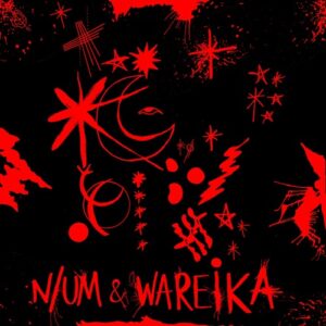 Wareika, N/UM - Coalescence EP [VQ090]