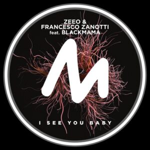 Zeeo, Francesco Zanotti, BlackMama - I See You Baby [10333507]