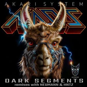 Akari System, Neumann & HNTZ - Dark Segments [ALPAK139]