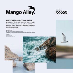 DJ Zombi & Guy Maayan - Sparkling in the Shadow [ALLEY305]