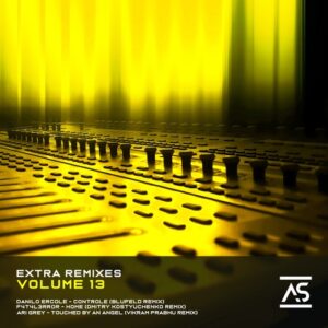 Danilo Ercole, F4T4L3RR0R & Ari Grey - Extra Remixes, Vol. 13 [ASR867]
