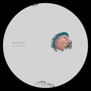 David San - Irindicencia [PSL0545]