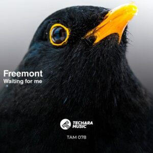 Freemont - Waiting for Me [TAM078]