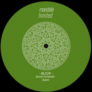 Gaston Fernandez - Buzzin [ML039]