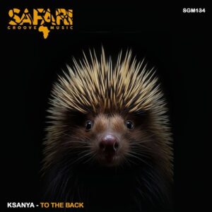 Ksanya - To The Back [SGM134]