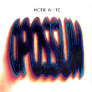 Motip White - Opossum EP [FT066]