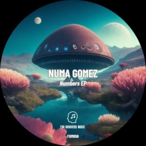 Numa Gomez - Numbers [FGM056]