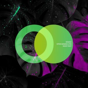 Open Minded (FR) & Eemoz - Noisy Boy [AVE269]