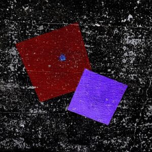 Paons - Eyes of the Weaver [DTZ192]